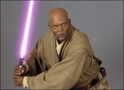 Qui est Mace Windu ?