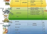Quiz L'chelle des temps gologiques