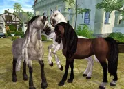 Quiz Le Quizz sur Star Stable