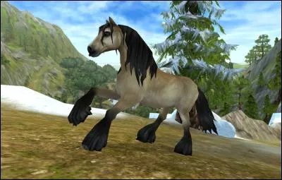 Star stable est un jeu :