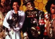 Quiz The Wiz