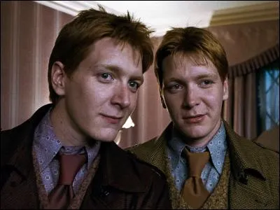 Quel Weasley meurt ?