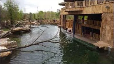 Dans quel zoo de France se trouve le plus grand bassin à hippopotames du monde ?