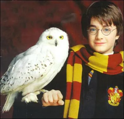 Quel est le nom du réalisateur de "Harry Potter à l'école des sorciers" ?