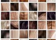 Quiz Nos cheveux