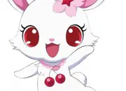 Quiz Quiz Jewelpet (spcial Ruby)