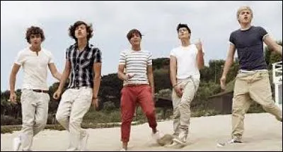 Dans la chanson "What makes you beautiful", qui chante en premier et en second ?