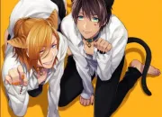 Quiz Uta no Prince-sama : personnages en Neko