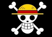 Quiz One Piece : drapeaux