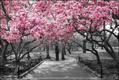 De qui sont les paroles "J'ai vu le printemps descendre à l'horizon, les bêtes et les gens sortir des maisons..." ?