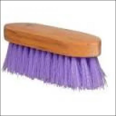 Quel est le nom de cette brosse ?