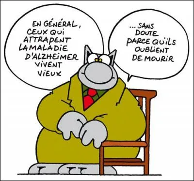 Qui est l'auteur de la bande dessinée nommée "Le chat" ?