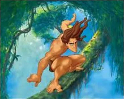 10 - D'après une théorie, de qui Tarzan serait-il le frère ?