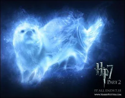 À qui correspond ce patronus ?