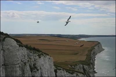 Comment s'appelle une paroi rocheuse qui surmonte la mer ?