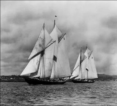 Qu'est-ce que le Bluenose?