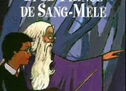 Quiz Harry Potter et le Prince de sang-ml (1)