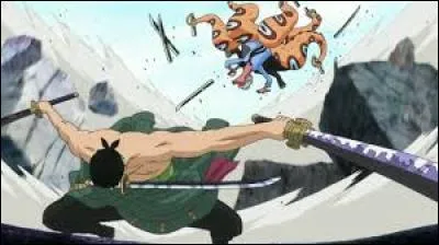 Zoro fait partie de quel équipage ?