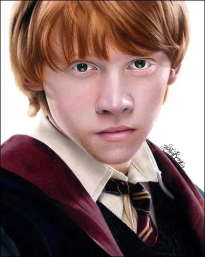 Si je te dis Ron Weasley, tu dis :