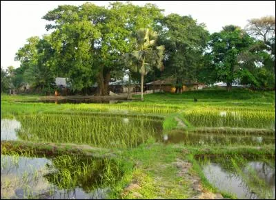 Quel pays visitez-vous si vous traversez la Casamance ?