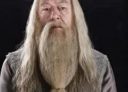 Quiz Albus Dumbledore