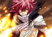 Quiz Fairy Tail