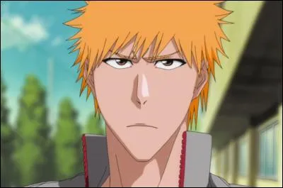 Quelle est la première personne ou créature surnaturelle que voit Ichigo ?