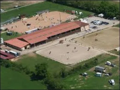 Où vit le cheval dans un centre équestre ?