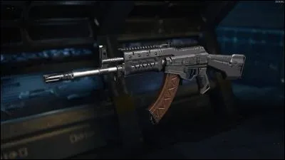 Quelle est cette arme ?