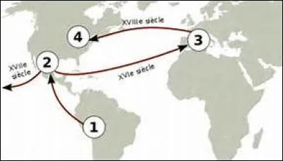 La tomate est originaire d'Amérique du Sud.