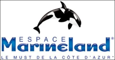 Pour commencer, question facile : 
Combien y a-t-il de parcs dans l'espace Marineland ?