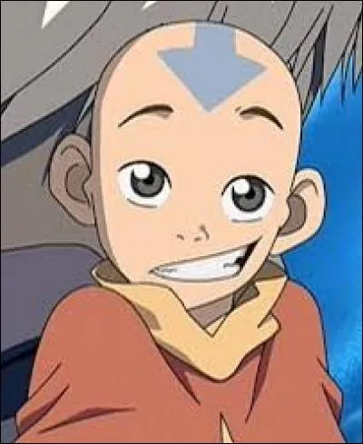 Aang est un :