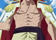 Quiz One Piece : Barbe blanche