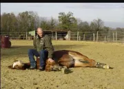 Quiz L'thologie et le cheval