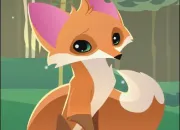 Quiz Animal Jam