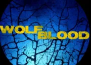 Quiz Wolfblood