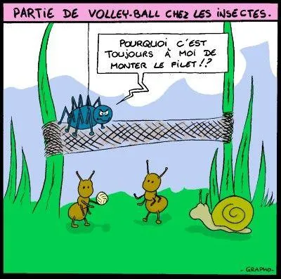 Continuez la comptine : Un escargot s'en allait à la foire, ...