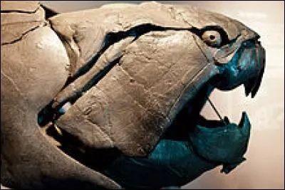 À quelle période a vécu Dunkleosteus ?