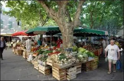 Ce matin, je suis allé chiner au marché aux...