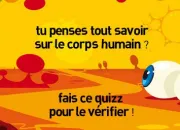 Quiz Le corps humain