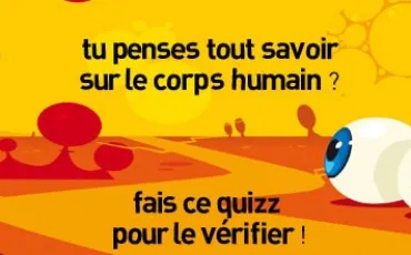 Quiz Corps humain