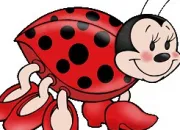 Quiz La coccinelle dans tous ses tats