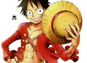 Quiz Luffy de One Piece en 10 questions !