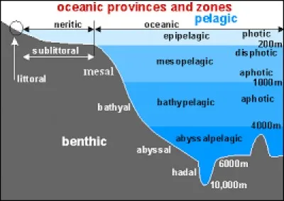 Plus d'hommes ont été sur la lune que dans les abysses ?