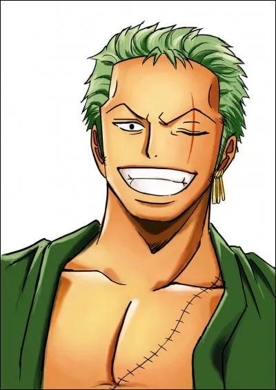 Quel est le rêve de Zoro ?