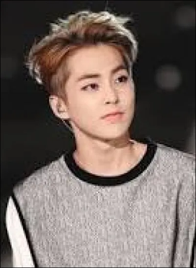 De quel groupe fait partie Xiumin ?