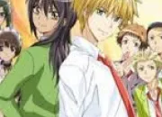 Quiz Kaichou wa Maid-sama : personnages