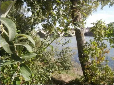 Encore une belle région à visiter, celle du Languedoc-Roussillon-Midi-Pyrénées. Commençons par Toulouse, quel grand fleuve traverse la ville ? c'est un cadeau !