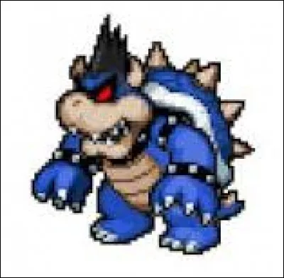 Combien de PV a Bowser noir ?