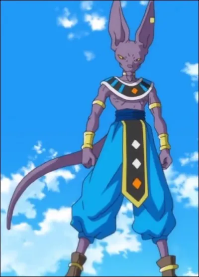 Qui est Beerus Sama ?